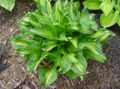 Enlarge photo 47