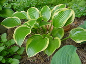 Enlarge photo 25