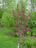Enlarge photo 34