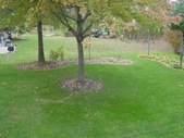 Enlarge photo 166