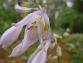 Enlarge photo 34