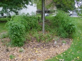 Enlarge photo 61