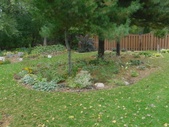 Enlarge photo 59