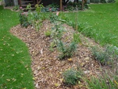 Enlarge photo 53