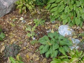 Enlarge photo 48