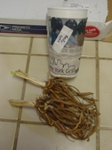 Enlarge photo 12