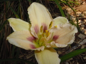 Enlarge photo 41