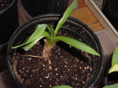 Enlarge photo 26