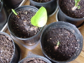Enlarge photo 23