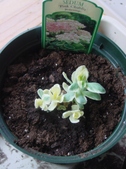 Enlarge photo 34
