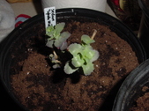 Enlarge photo 17