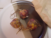 Enlarge photo 3
