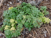 Enlarge photo 43