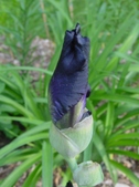 Enlarge photo 16
