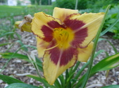 Enlarge photo 115