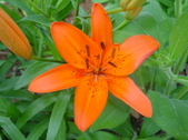 Enlarge photo 116