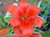 Enlarge photo 117