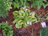 Enlarge photo 189