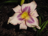Enlarge photo 302