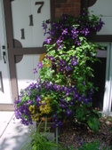 Enlarge photo 171