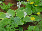 Enlarge photo 223