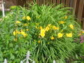 Enlarge photo 130