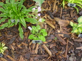 Enlarge photo 226