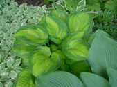 Enlarge photo 48