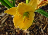 Enlarge photo 26