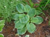 Enlarge photo 10