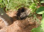 Enlarge photo 107