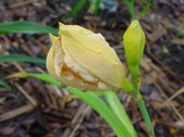Enlarge photo 27