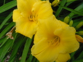 Enlarge photo 132