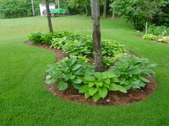 Enlarge photo 214