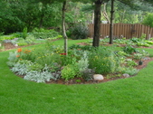 Enlarge photo 215