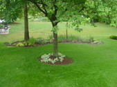 Enlarge photo 207