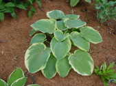 Enlarge photo 39
