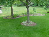 Enlarge photo 70
