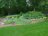 Enlarge photo 76