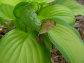 Enlarge photo 56