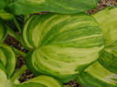 Enlarge photo 43
