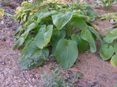 Enlarge photo 23