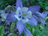 Enlarge photo 33