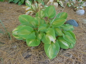 Enlarge photo 25