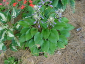 Enlarge photo 17