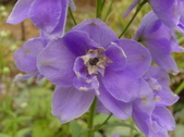 Enlarge photo 37