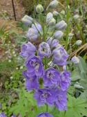 Enlarge photo 39