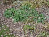Enlarge photo 41