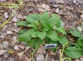 Enlarge photo 43