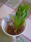Enlarge photo 4